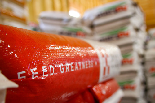 Livestock Feed sales in Monte Vista