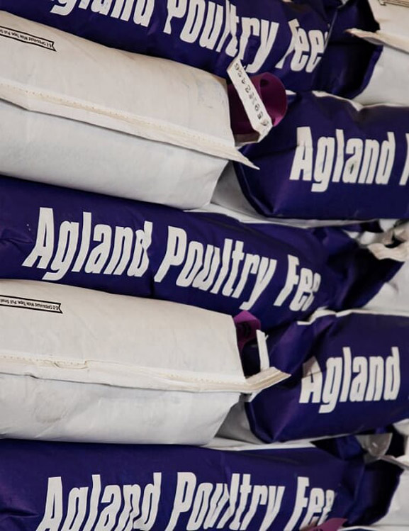 MV Coop Alamosa Feed Store